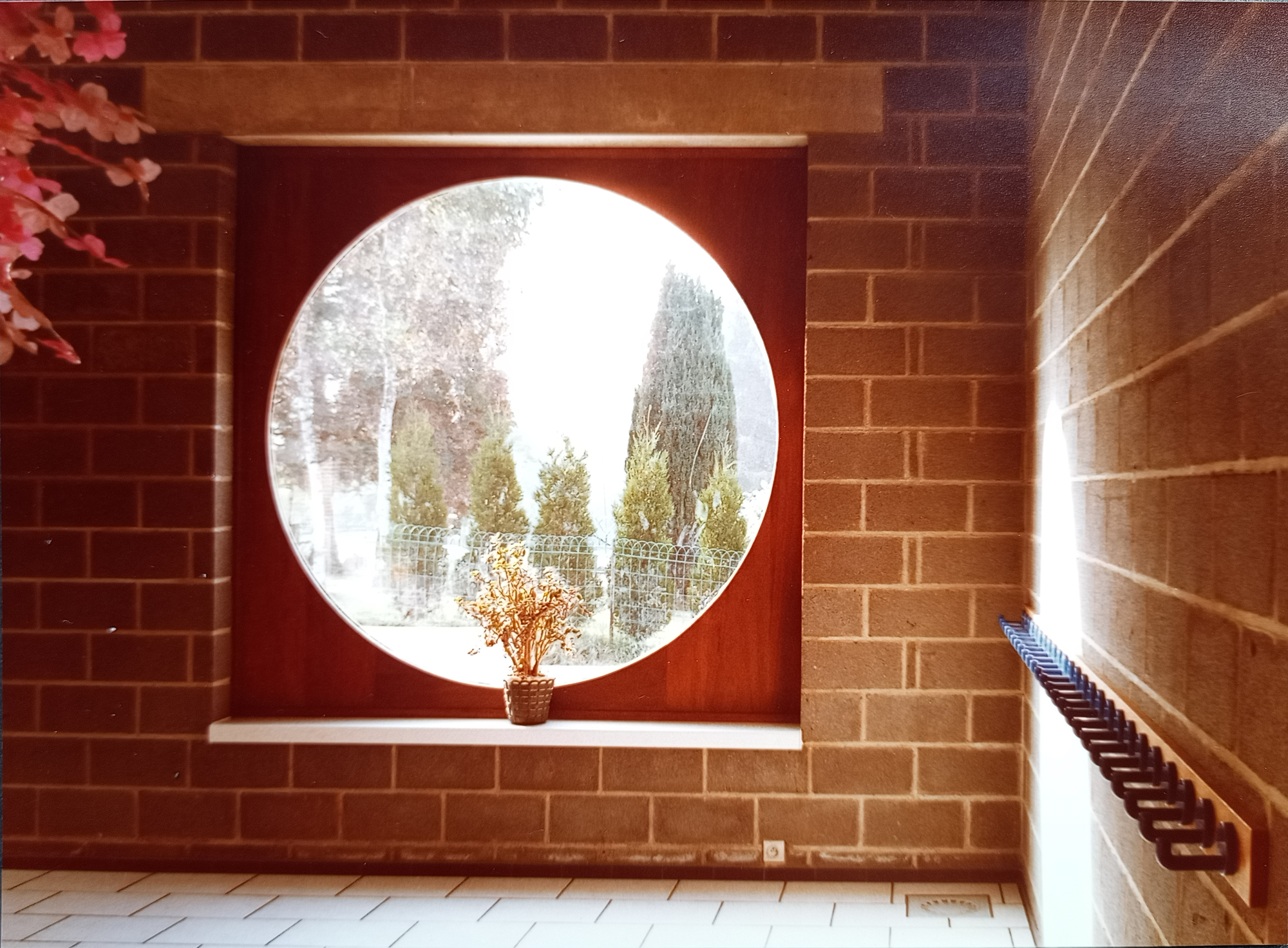 Fenêtre ronde vue de l'intérieur sur jardin