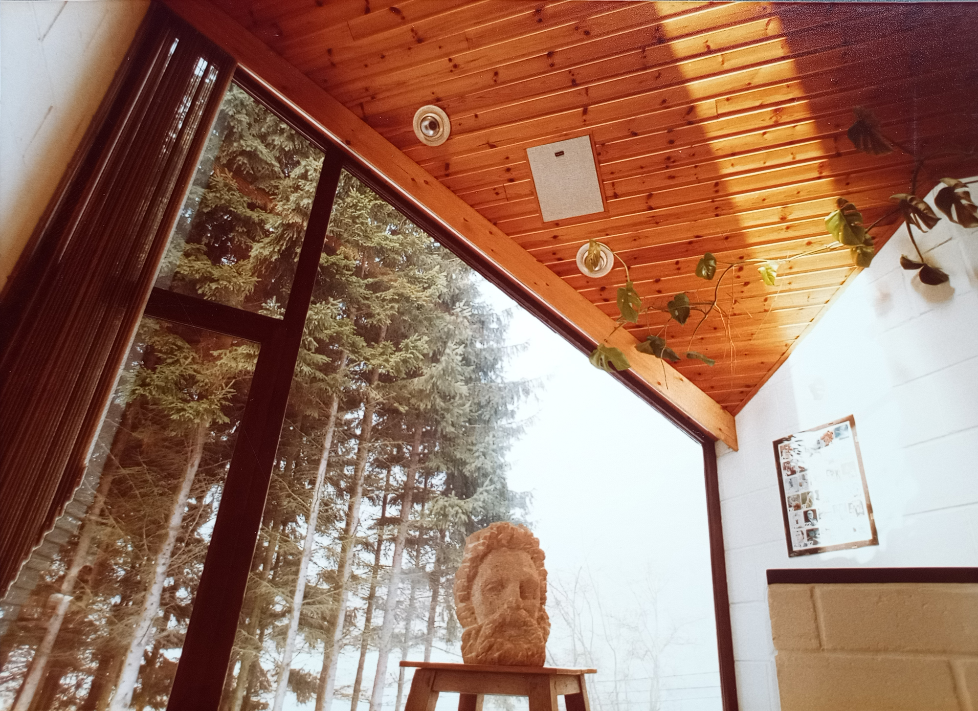 Véranda intérieure en bois avec sculpture et vue sur forêt