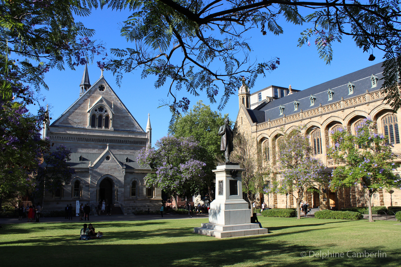 Adelaide city Australia South Australia capital