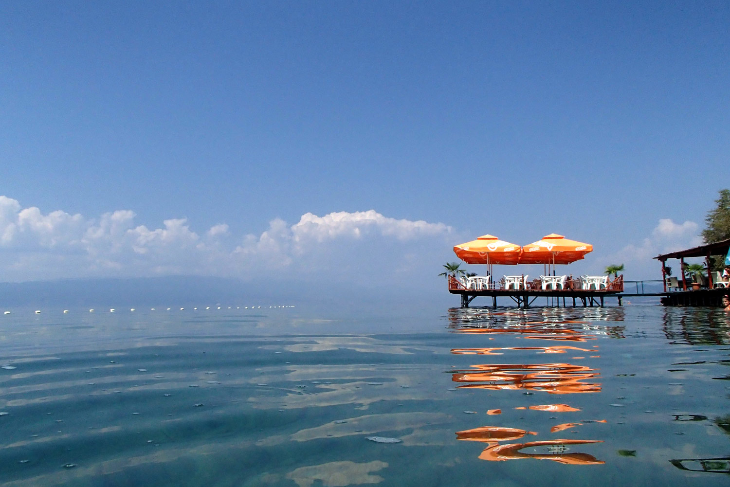 lake ohrid madecodia