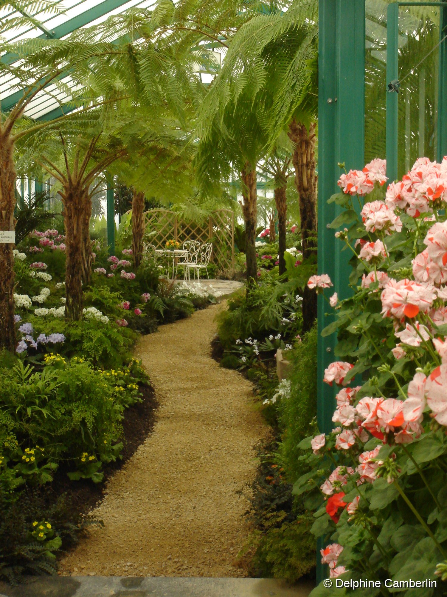 Les Serres de Laeken — Royal Greenhouses interior, Brussels
