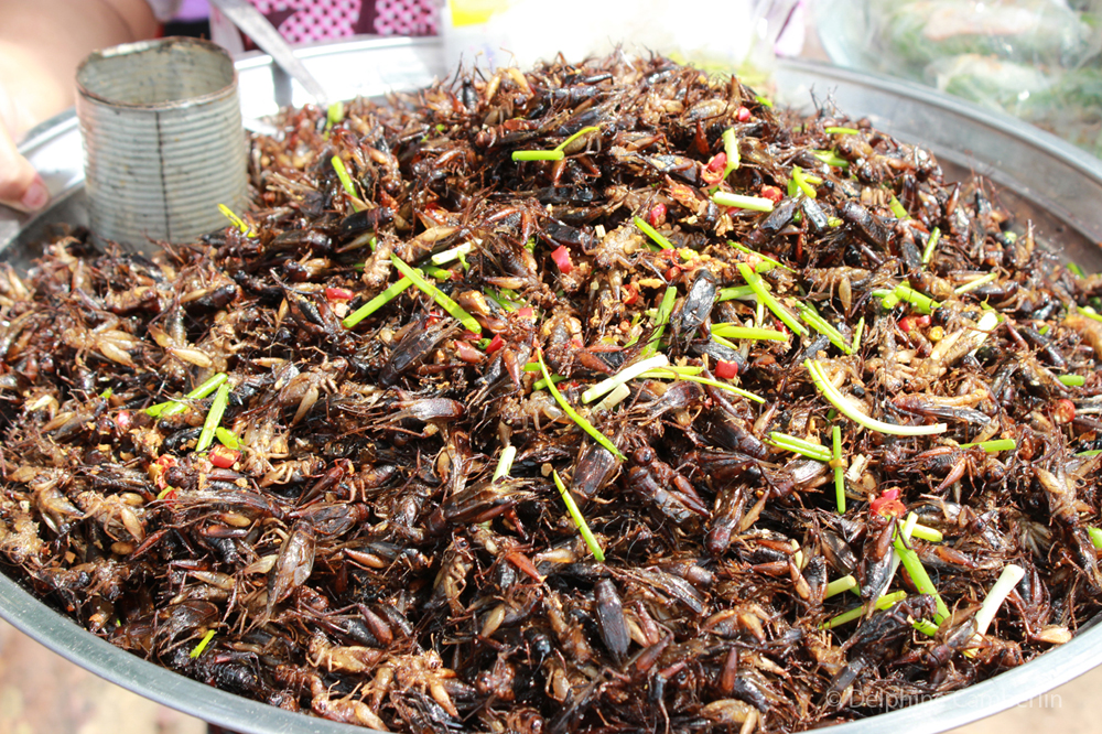 Street food Cambodia