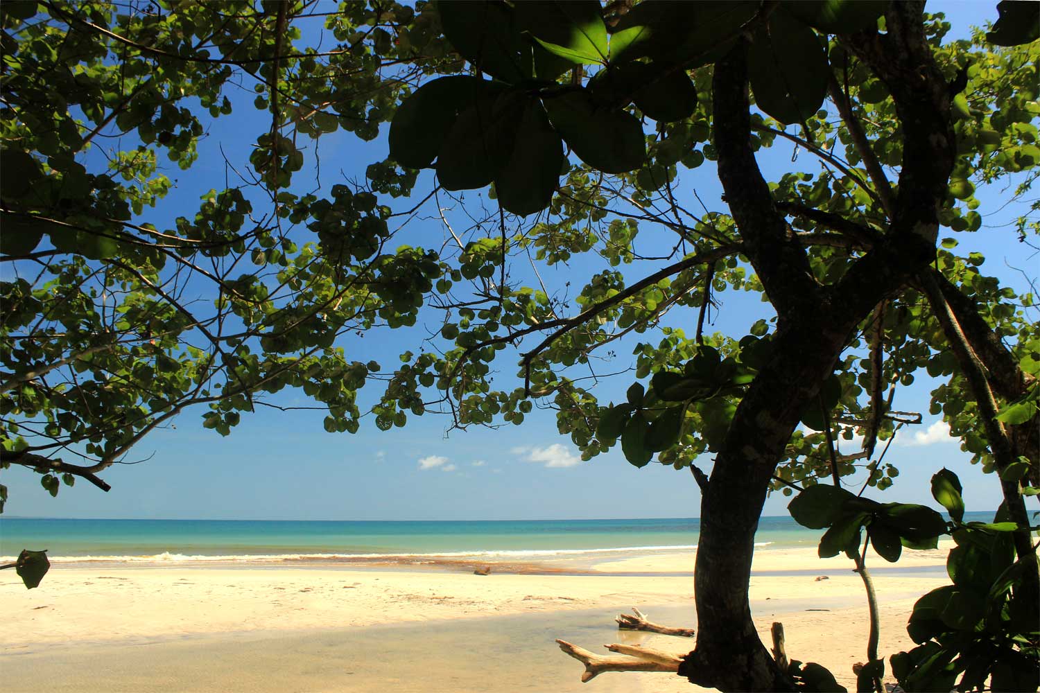 Beach Parc National Cahuita