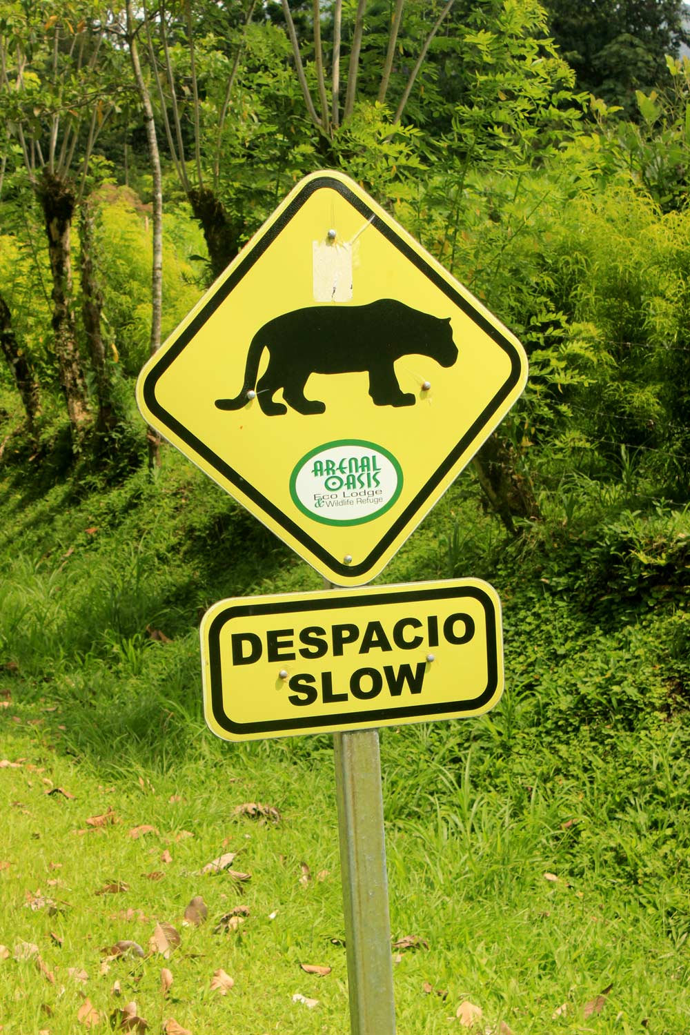 Despacio Slow Puma Sign