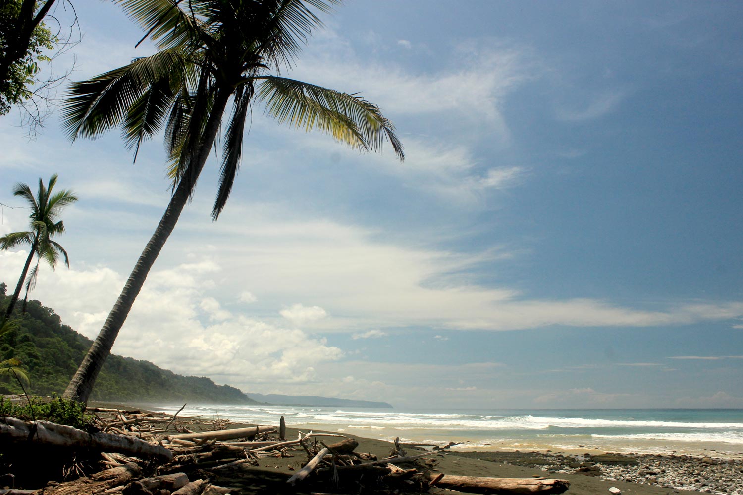 Palm Tree Beach