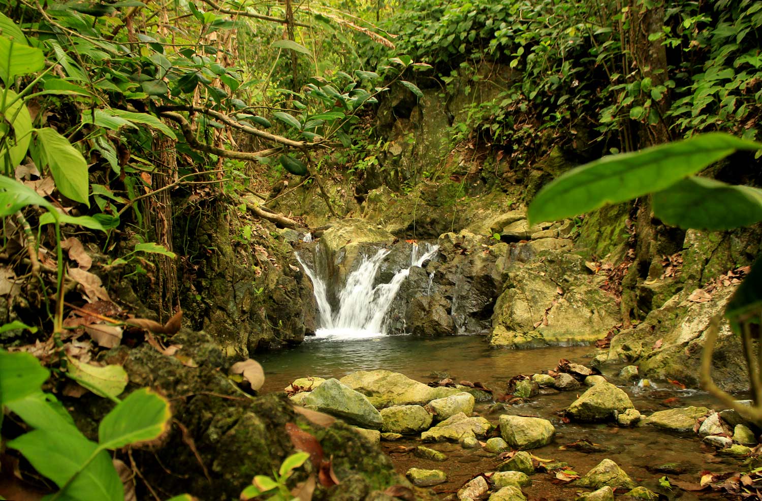 Small Waterfall Corcovado End First Day Hike
