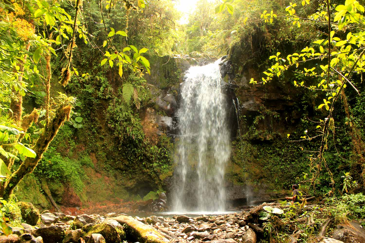 Waterfall Of The Lost Waterfalls Hike