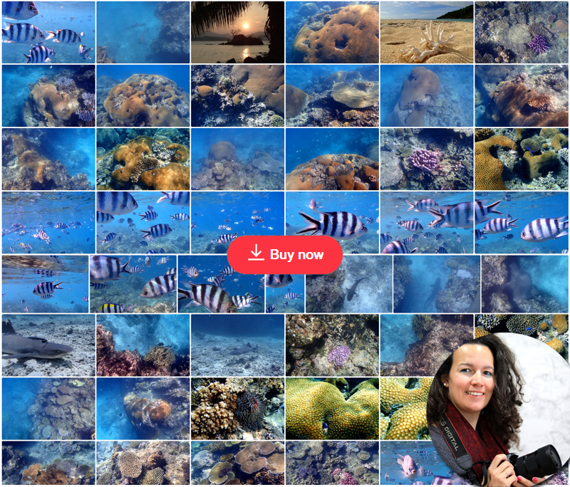 Fiji Collections Delphine Camberlin ShutterStock