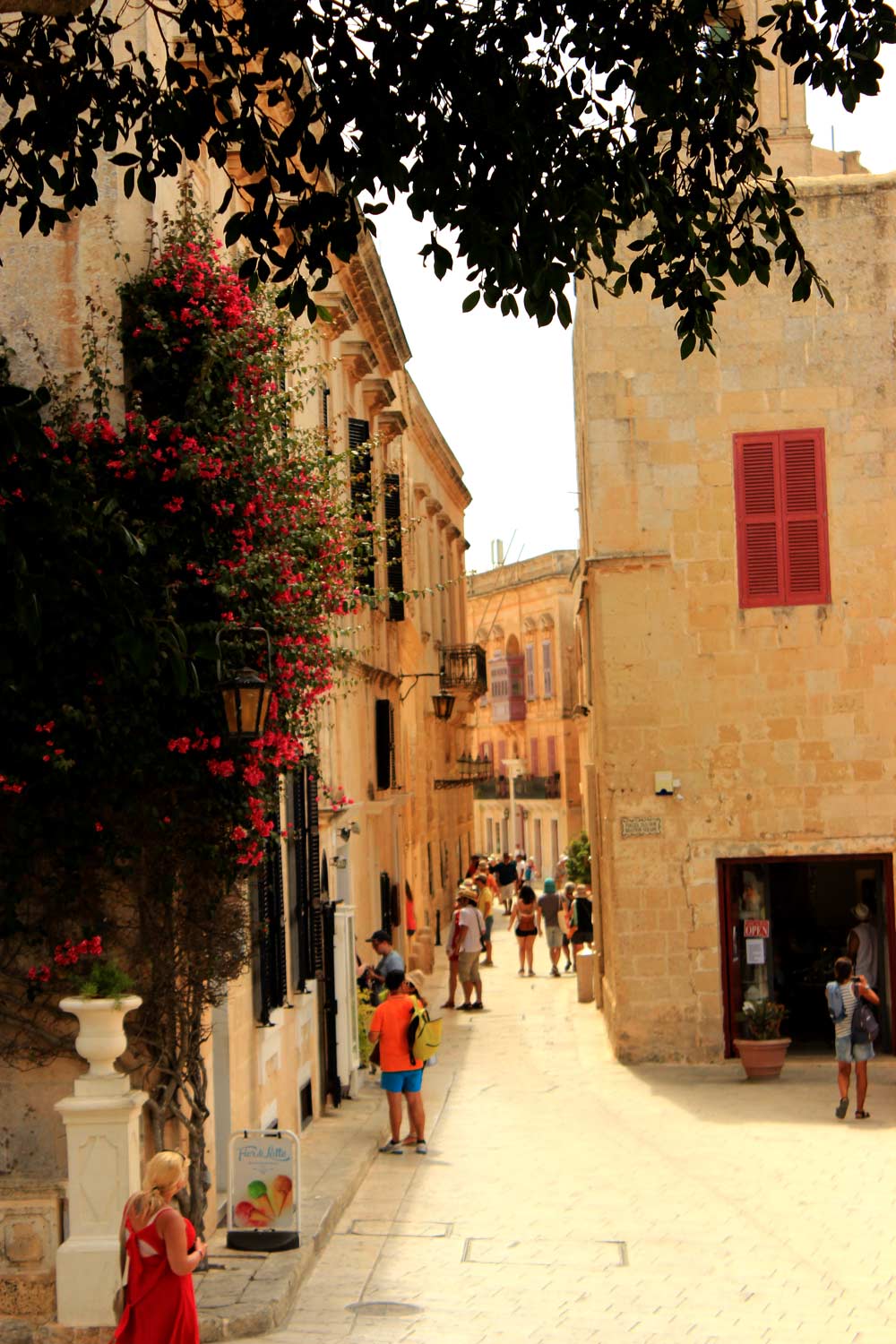 Flower-lined street Mdina