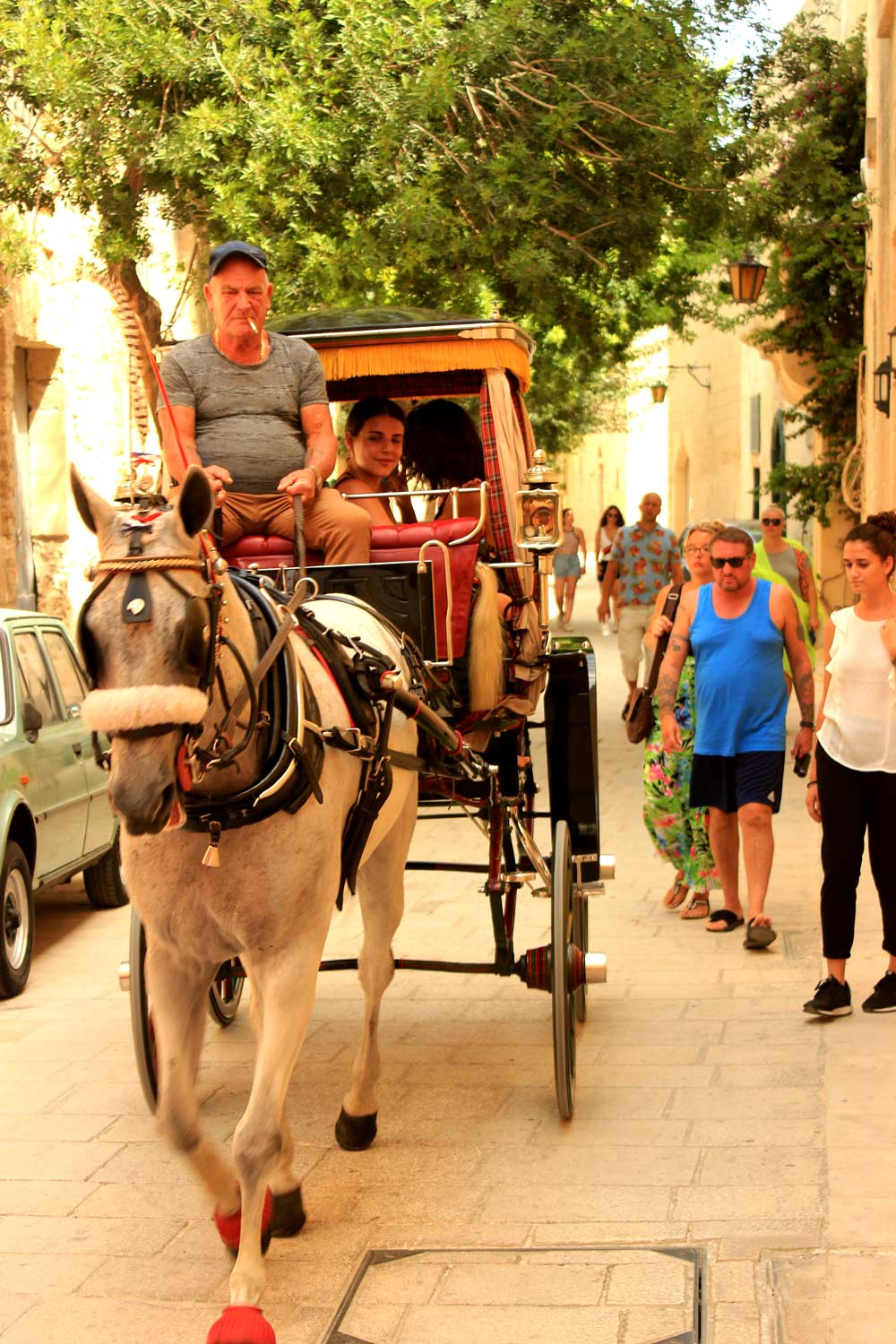 Horse carriage Malta traditional village festa