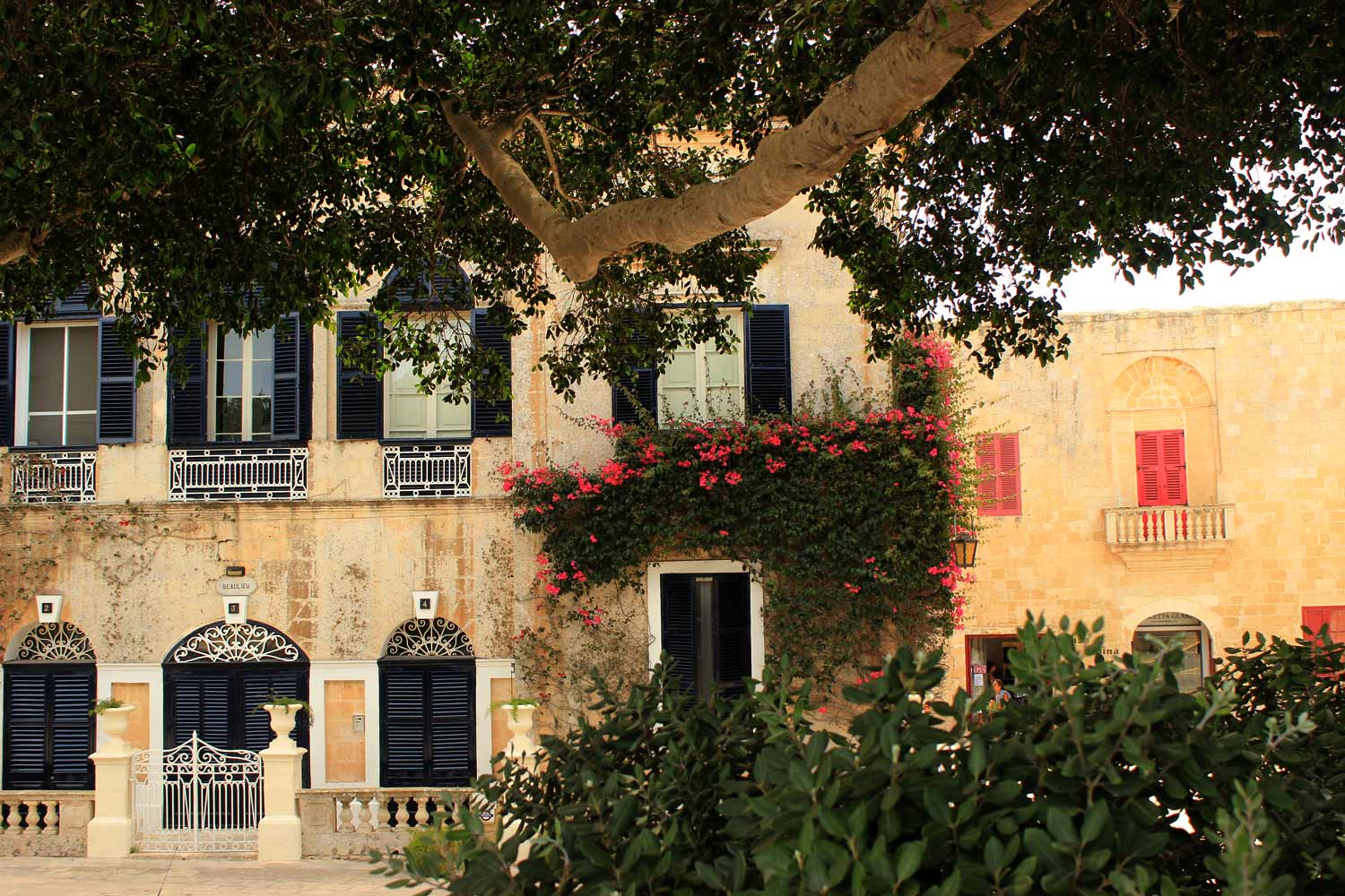 Mdina carved windows Malta Game of Thrones King's Landing