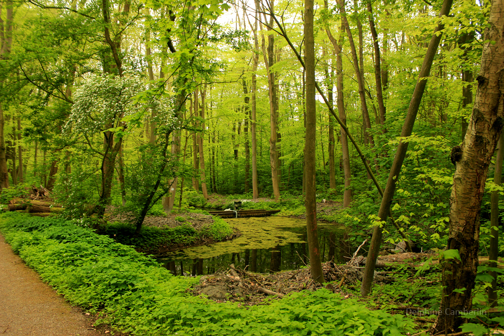 Eco Tips Netherlands