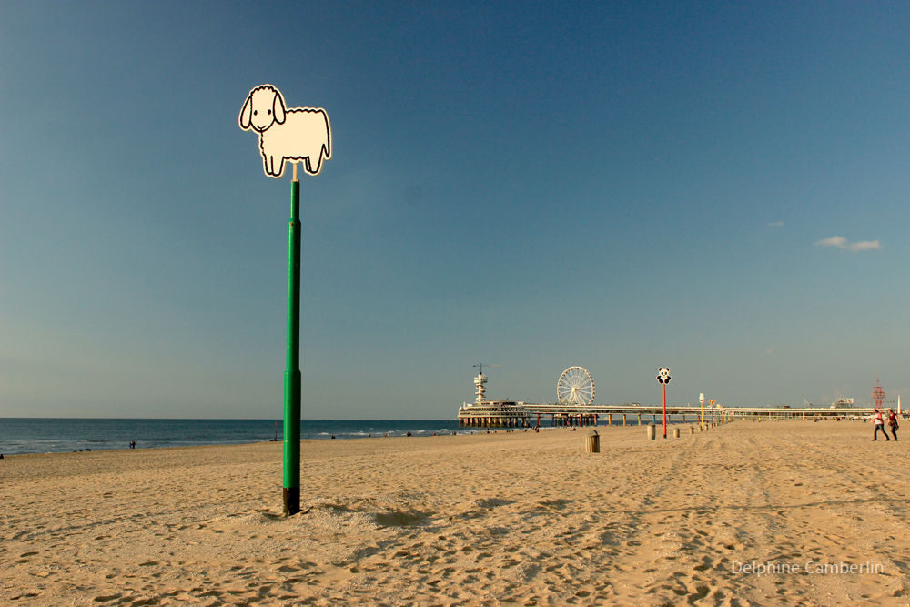 The Hague beach
