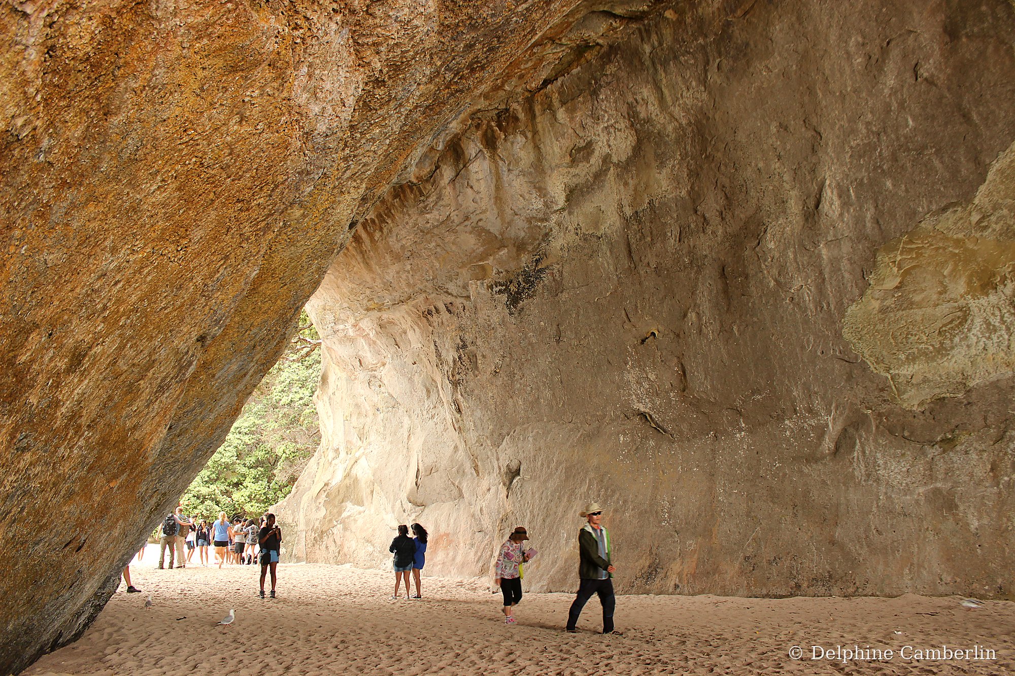 Cathedral Cove limestone arch Coromandel Peninsula New Zealand