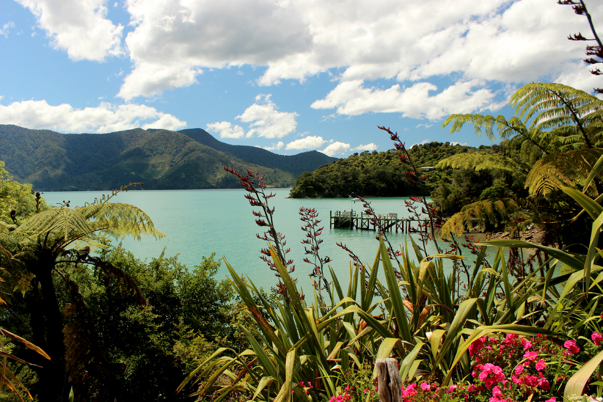 Picton Marlborough Sounds — South Island ferry crossing