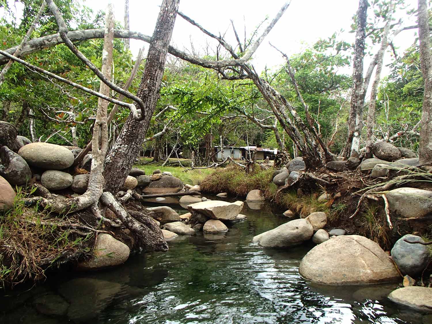 Hot spring bath Panama natural thermal pool