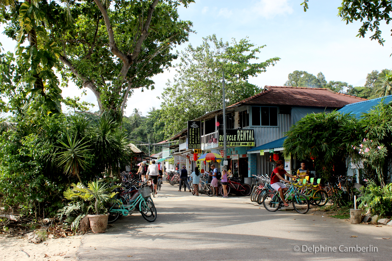 Chek Jawa wetlands — Pulau Ubin island, Singapore