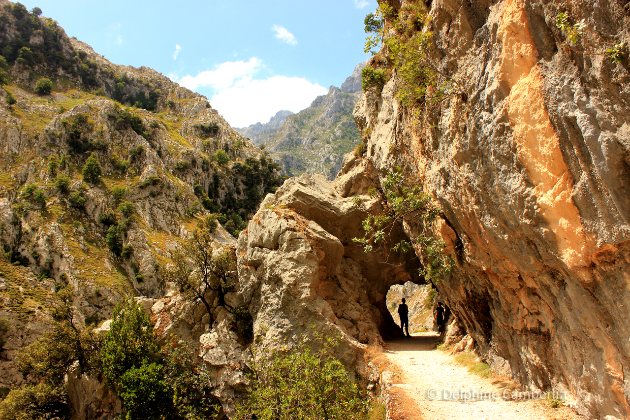 Hiking