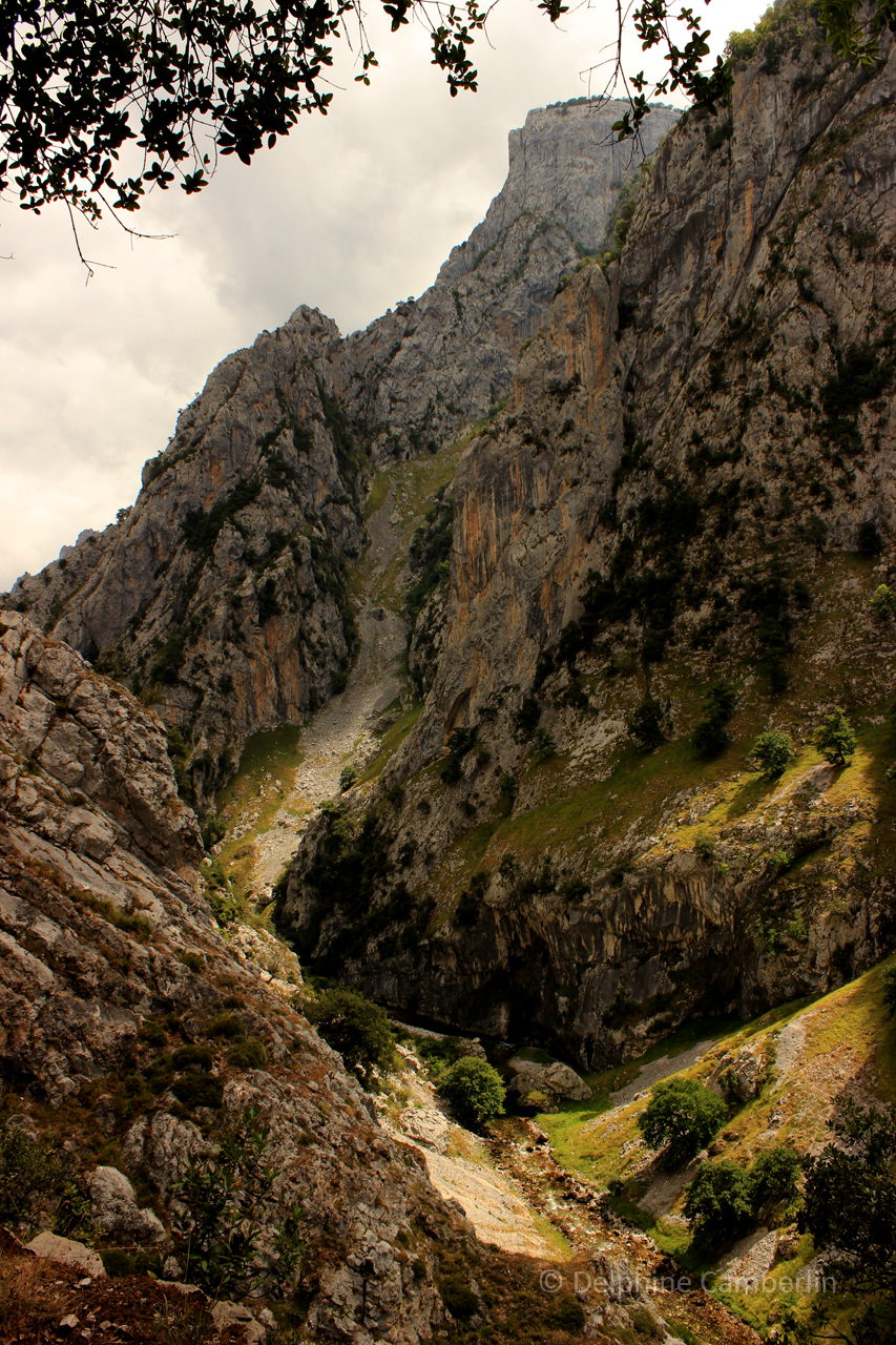 Ruta del Cares