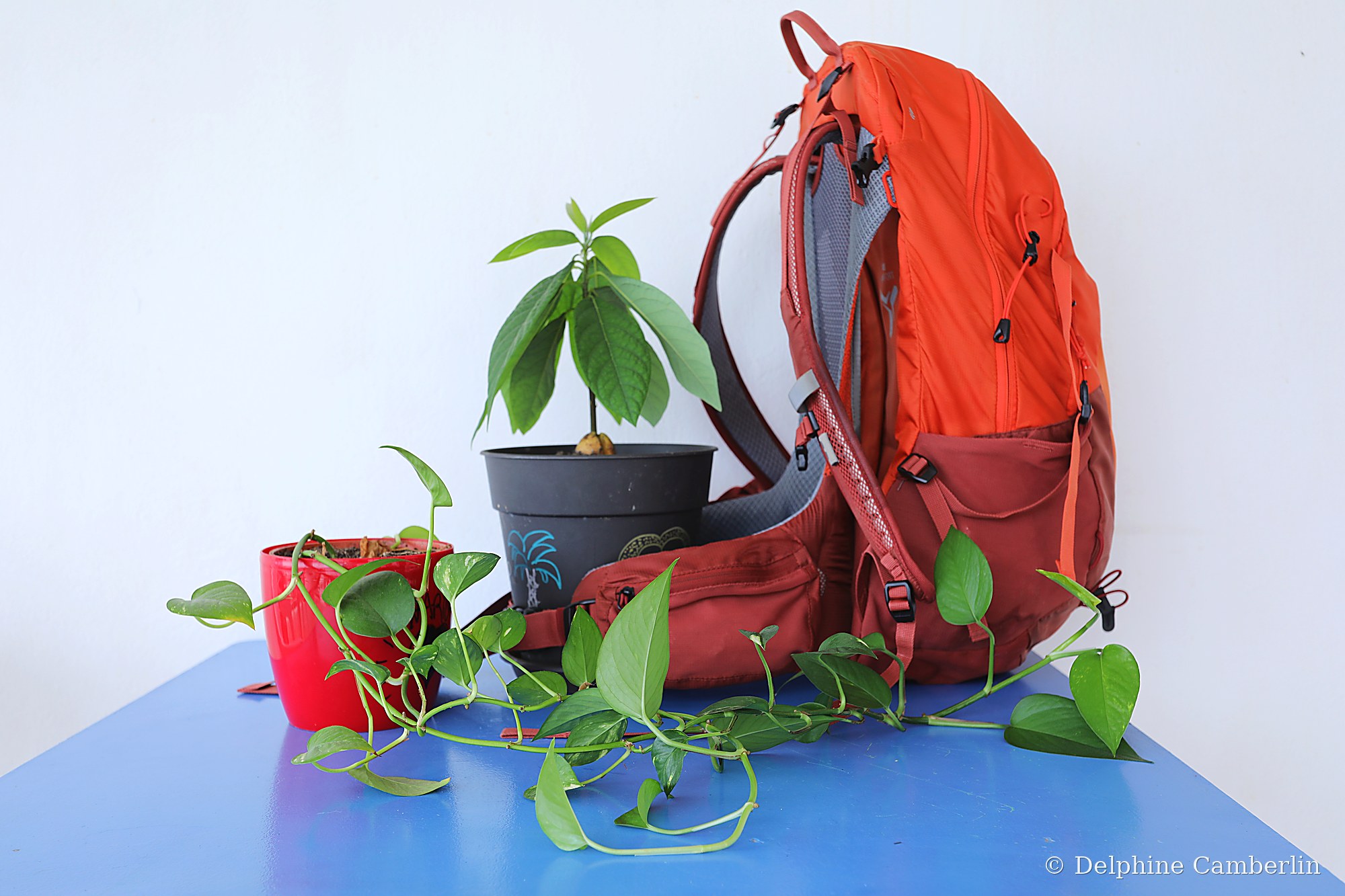Backpacker eco-travel