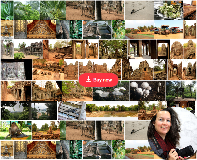 Asia Collections Delphine Camberlin ShutterStock