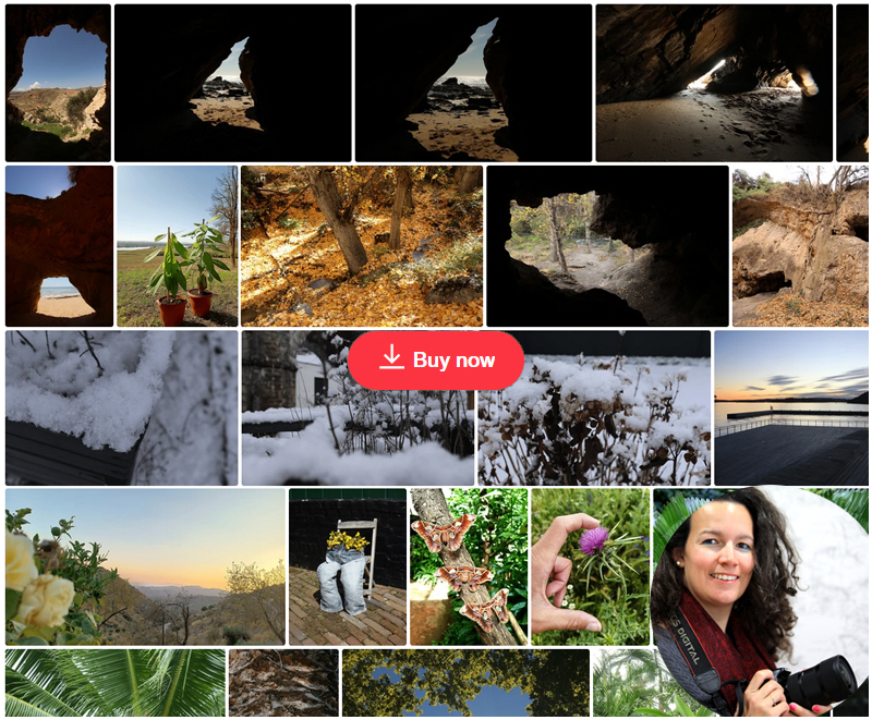 Nature Collections Delphine Camberlin ShutterStock