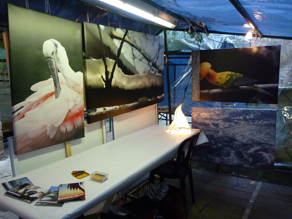 Galerie Photographique - Exhibition 2010 Yvoir