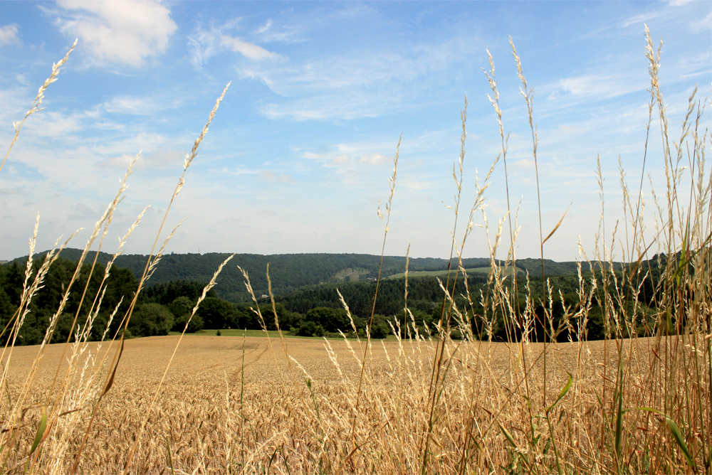 Green Climate Tech Project