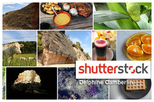 Shutterstock contributor profile