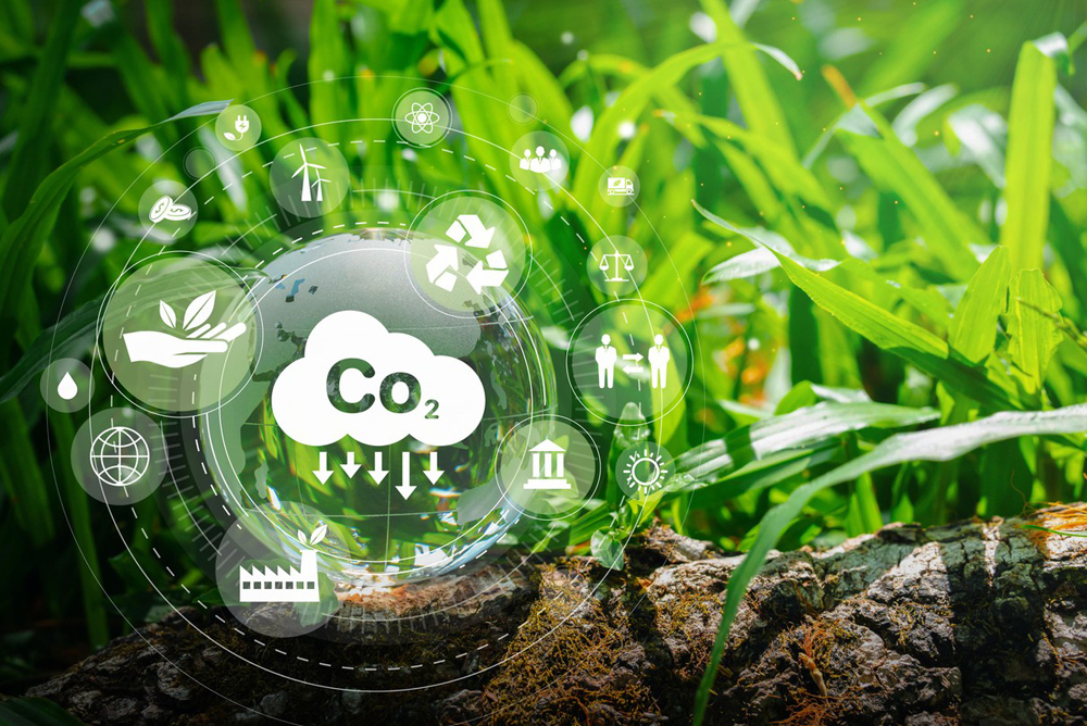 Climate Tech Start-up - Direct Air Capture